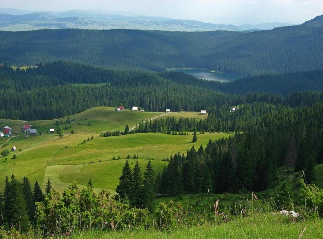Cottage 1600 Bosaca Nikšić Kültér fotó